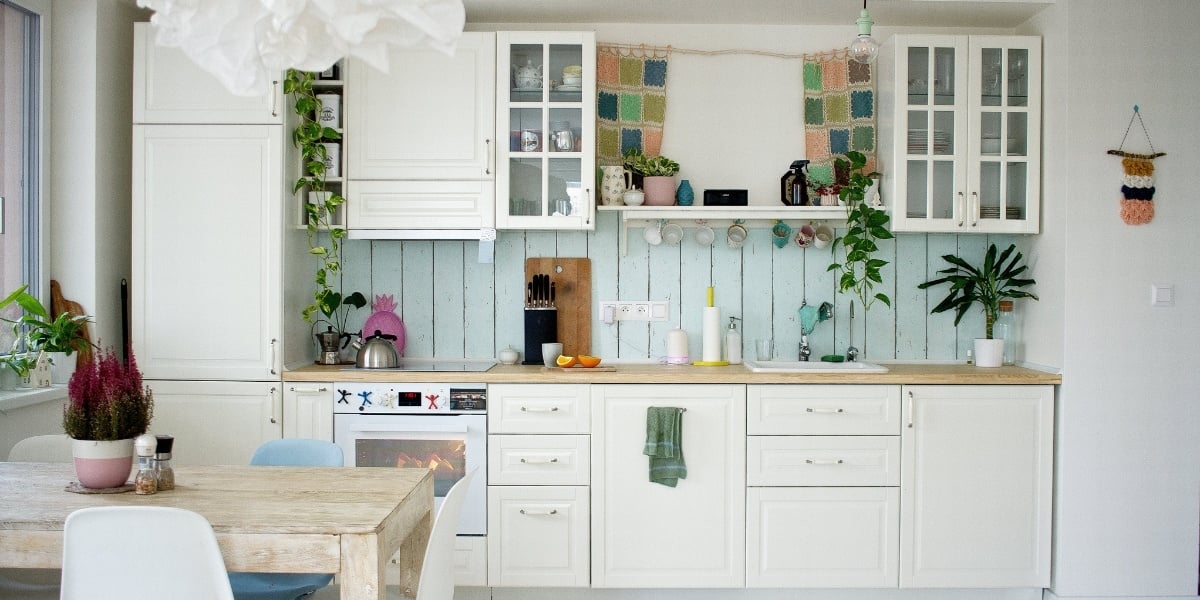 Refresh Your Apartment with Greenery: 8 Best Apartment Plants